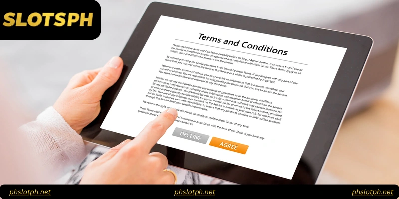 Terms and Conditions